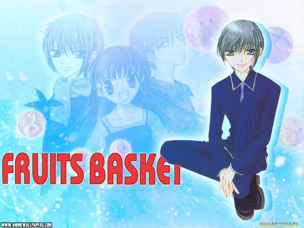 , fruits, basket